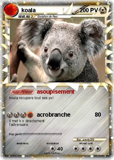 Pokemon koala