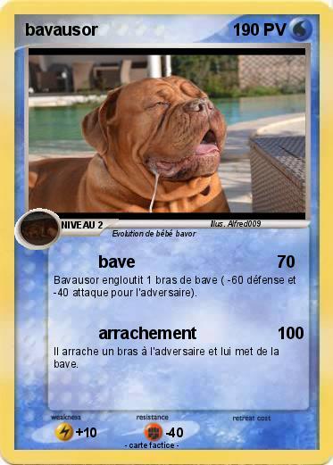 Pokemon bavausor