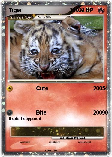 Pokemon Tiger                               100
