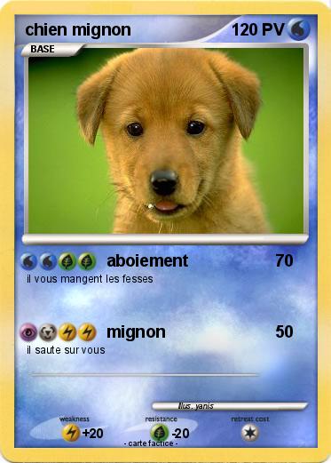 Pokemon chien mignon