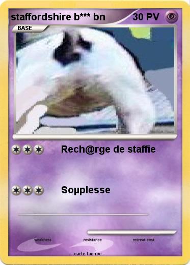 Pokemon staffordshire b*** bn
