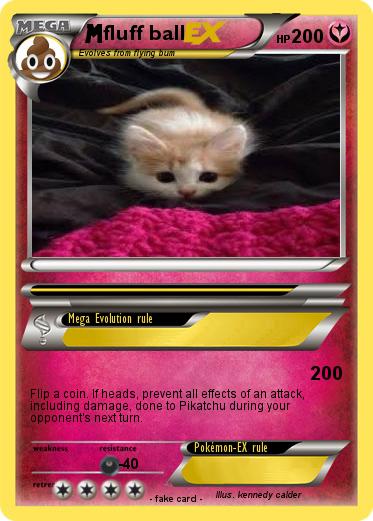 Pokemon fluff ball