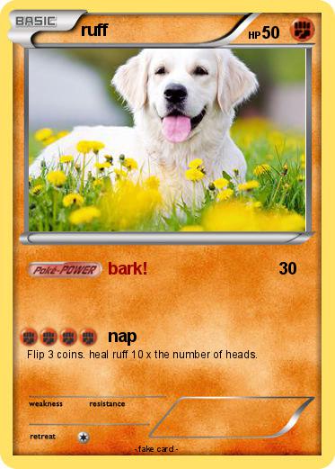 Pokemon ruff