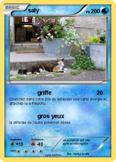 Pokemon saly