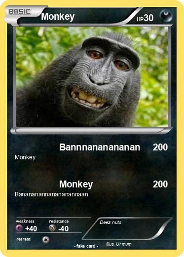 Pokemon Monkey