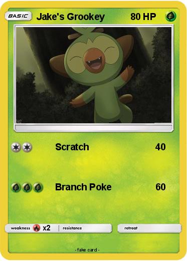 Pokemon Jake's Grookey