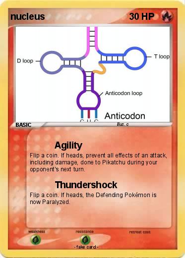 Pokemon nucleus