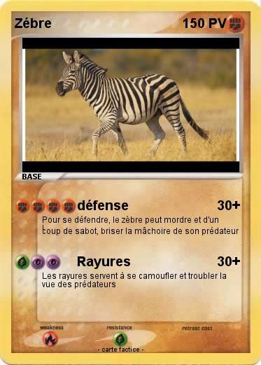 Pokemon Zébre