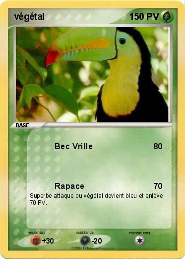Pokemon végétal