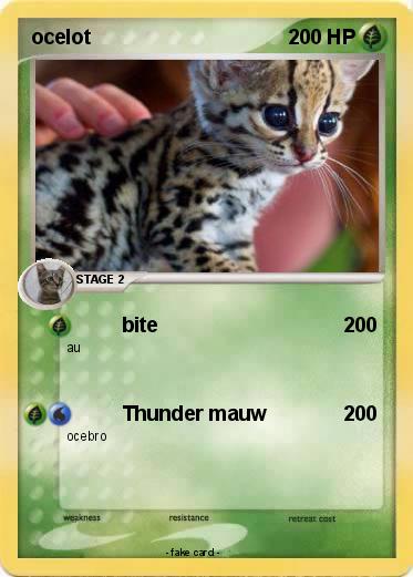 Pokemon ocelot