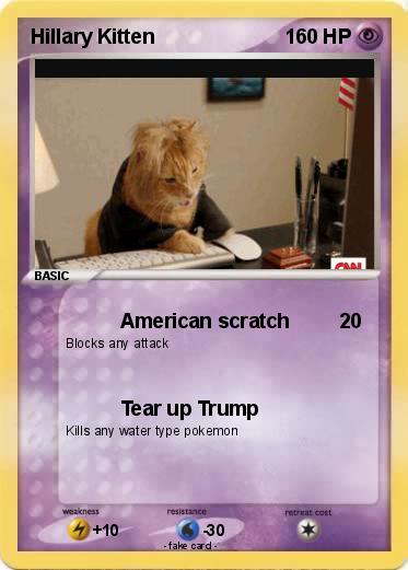 Pokemon Hillary Kitten