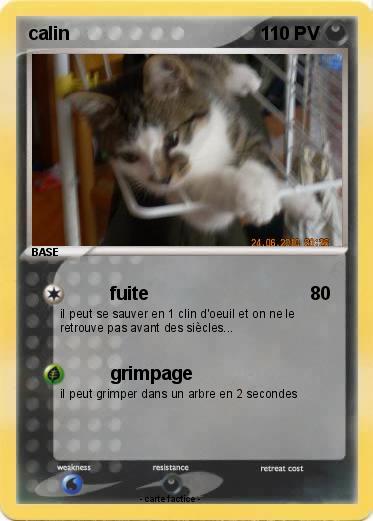 Pokemon calin
