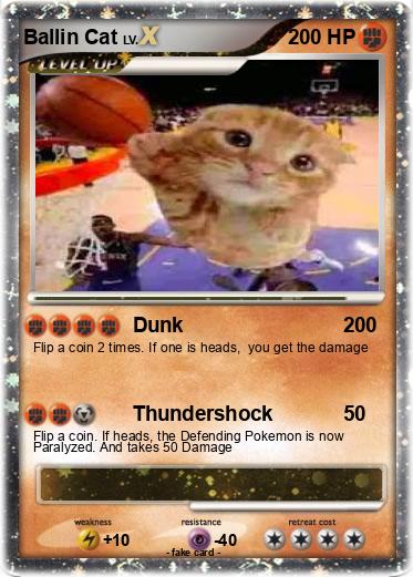 Pokemon Ballin Cat