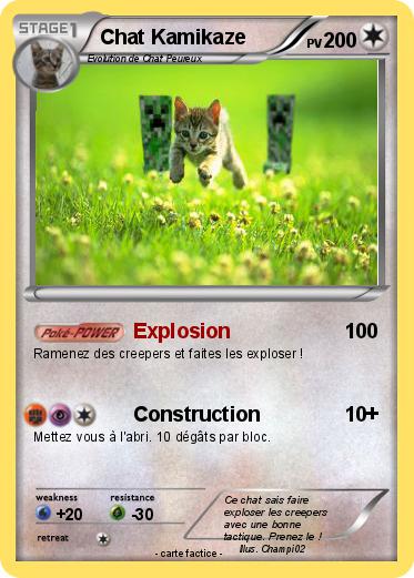 Pokemon Chat Kamikaze