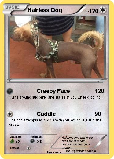 Pokemon Hairless Dog