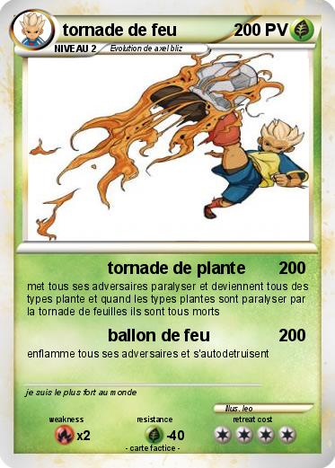 Pokemon tornade de feu