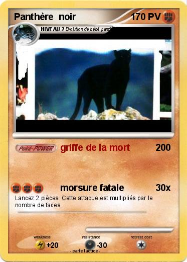 Pokemon Panthère  noir
