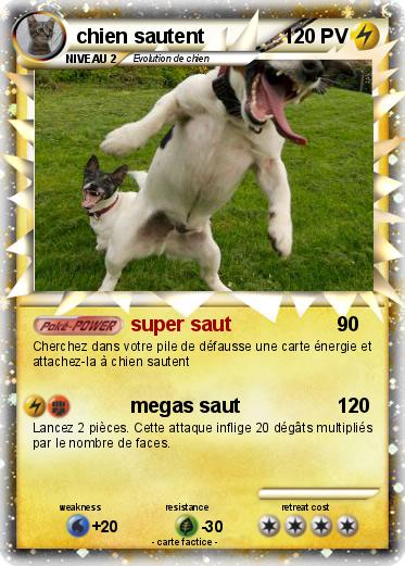Pokemon chien sautent