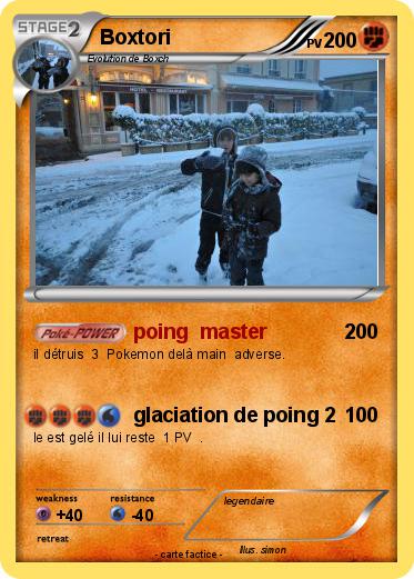 Pokemon Boxtori