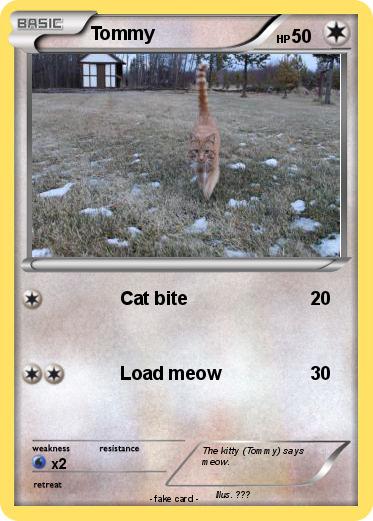 Pokemon Tommy