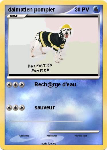 Pokemon dalmatien pompier