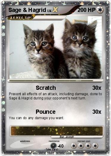 Pokemon Sage & Hagrid