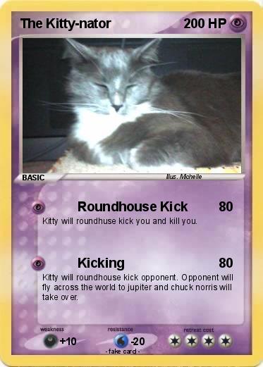 Pokemon The Kitty-nator