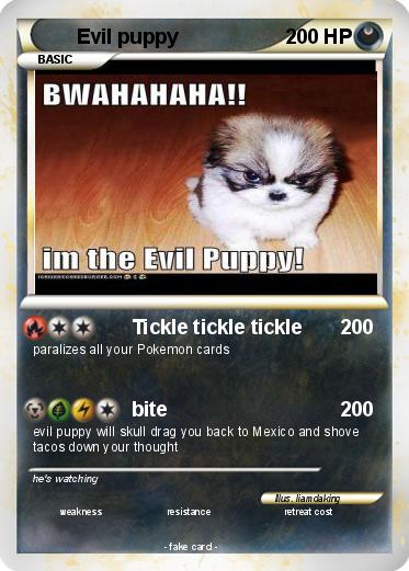 Pokemon Evil puppy