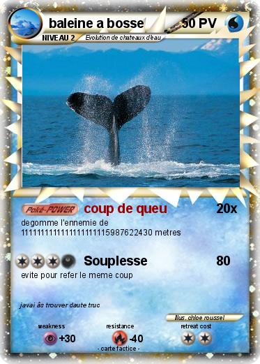 Pokemon baleine a bosse