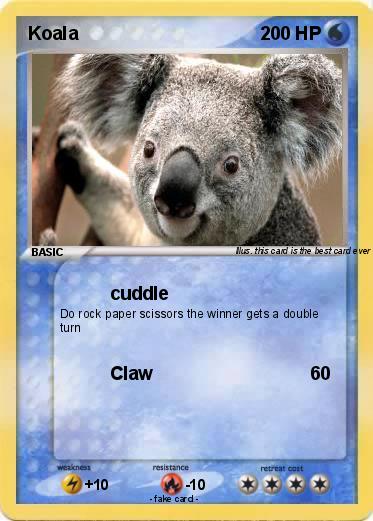 Pokemon Koala