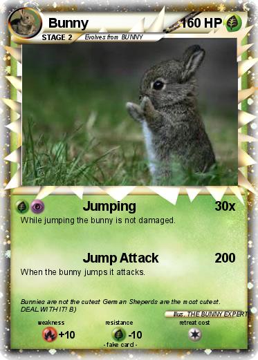 Pokemon Bunny