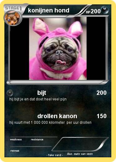 Pokemon konijnen hond