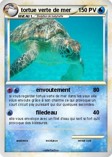 Pokemon tortue verte de mer