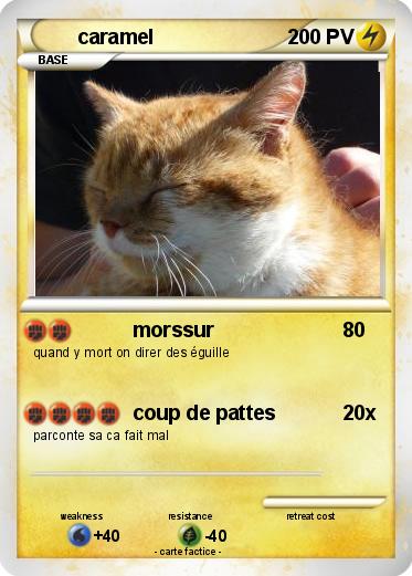 Pokemon caramel
