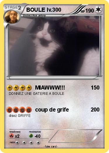 Pokemon BOULE lv.300