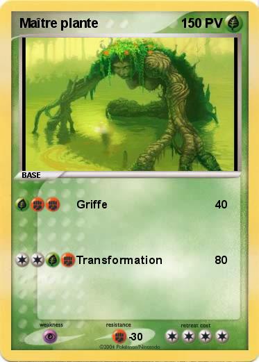 Pokemon Maître plante