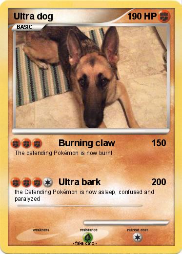 Pokemon Ultra dog