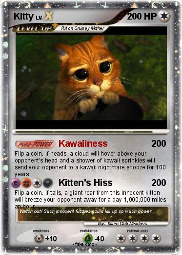 Pokemon Kitty