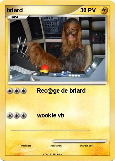 Pokemon briard