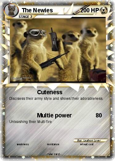 Pokemon The Newies