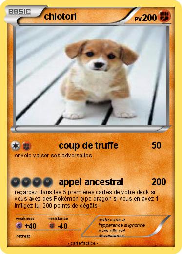 Pokemon chiotori