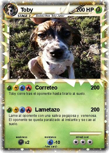 Pokemon Toby