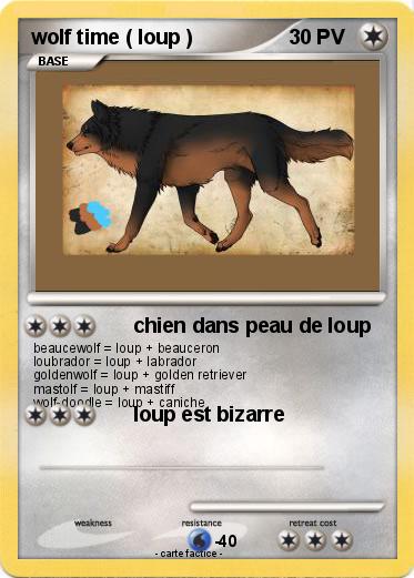 Pokemon wolf time ( loup )
