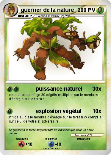 Pokemon guerrier de la nature