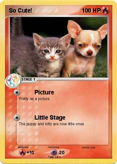 Pokemon So Cute!