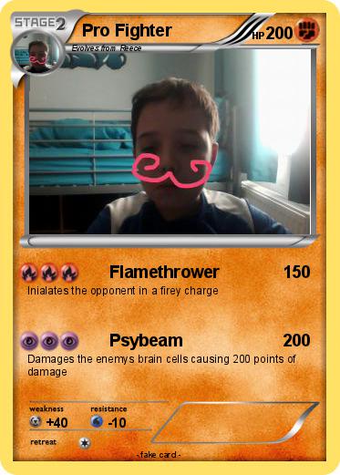 Pokemon Pro Fighter