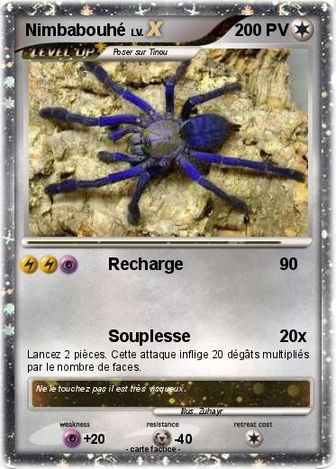 Pokemon Nimbabouhé