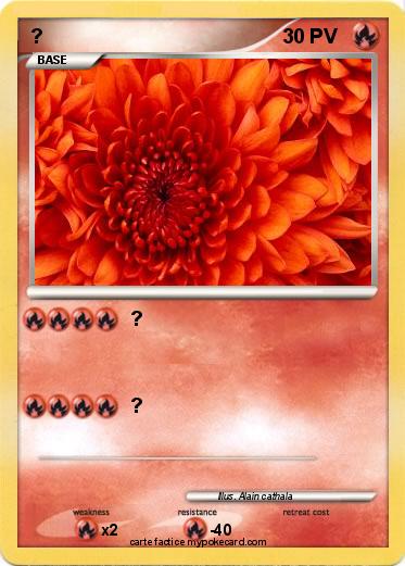 Pokemon ?