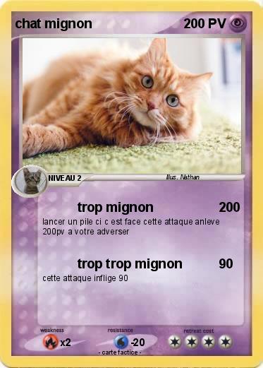 Pokemon chat mignon