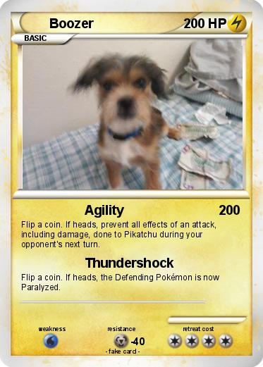 Pokemon Boozer